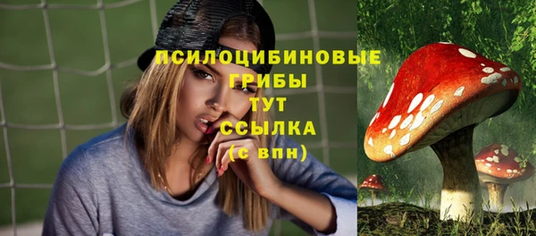 прущая мука Богданович