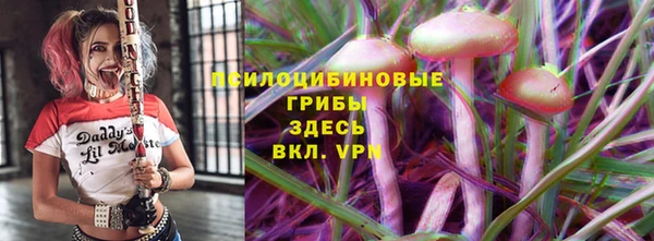 бошки Богородицк