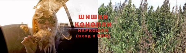 прущая мука Богданович